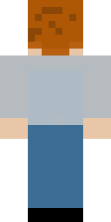 Задняя часть скина игрока worldsokol