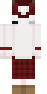 Задняя часть скина игрока xDinzr