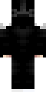 Задняя часть скина игрока xMrswager_