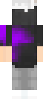 Задняя часть скина игрока x_purp1e_x