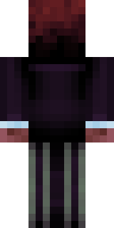 Задняя часть скина игрока xoll123