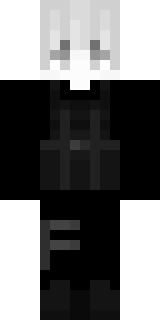 Передняя часть скина игрока 1337