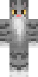 Передняя часть скина игрока 16max16