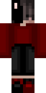 Передняя часть скина игрока 4ecTHeH1337