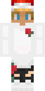 Передняя часть скина игрока Andrej006