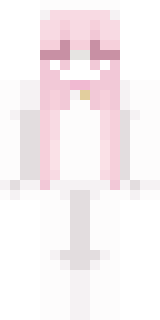 Передняя часть скина игрока BOB4APA