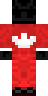 Передняя часть скина игрока BadLion_Client
