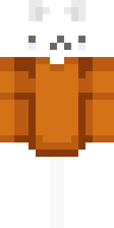 Передняя часть скина игрока BeeFly