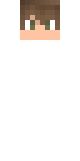 Передняя часть скина игрока Bridast