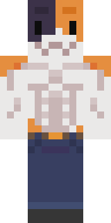 Передняя часть скина игрока Degraded