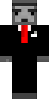 Передняя часть скина игрока Delwex