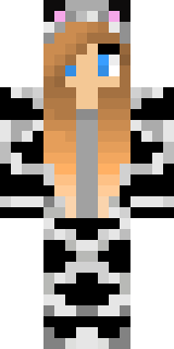 Передняя часть скина игрока Diana39