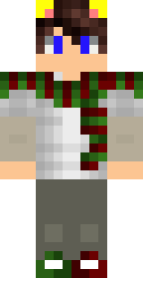 Передняя часть скина игрока Eleatropchik