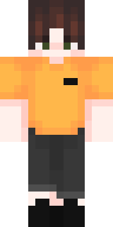 Передняя часть скина игрока ElwiElite