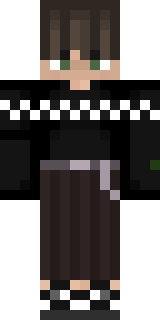 Передняя часть скина игрока FLIG