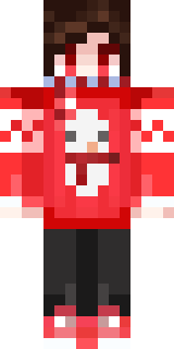 Передняя часть скина игрока FaireHero