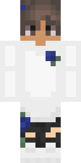 Передняя часть скина игрока Felliny1226