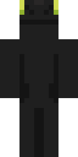 Передняя часть скина игрока Feshil