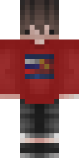 Передняя часть скина игрока FlIvI