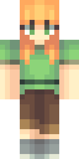 Передняя часть скина игрока Flash_Cekcu