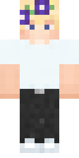 Передняя часть скина игрока FunnySmail