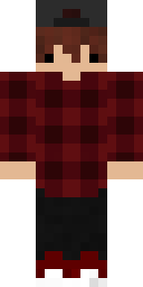 Передняя часть скина игрока GoodJonni