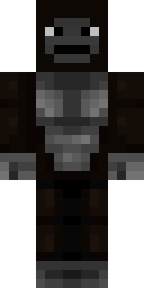 Передняя часть скина игрока H2W