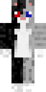 Передняя часть скина игрока HaPUMaH