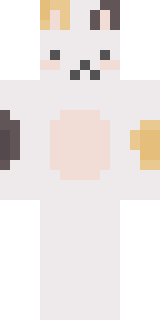 Передняя часть скина игрока HacTyuXa