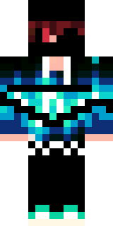 Передняя часть скина игрока HaemHik