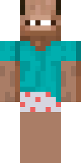 Передняя часть скина игрока Hevin0