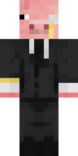 Передняя часть скина игрока IIImEl234