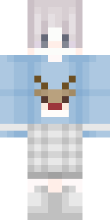 Передняя часть скина игрока Igor_rulit