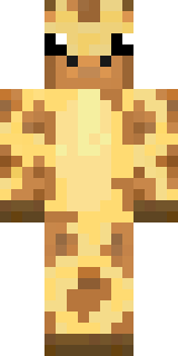 Передняя часть скина игрока ImDimon