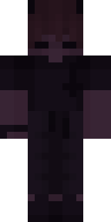 Передняя часть скина игрока Insay