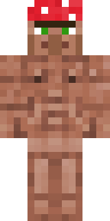 Передняя часть скина игрока LeMoH4uK