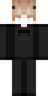 Передняя часть скина игрока Librarians