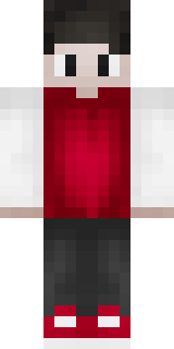 Передняя часть скина игрока LionTGaming