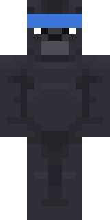 Передняя часть скина игрока LitixHero