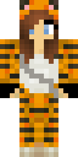 Передняя часть скина игрока MarttiniX