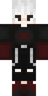 Передняя часть скина игрока Masterchan