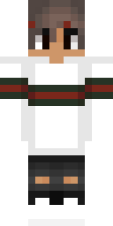 Передняя часть скина игрока MeMex