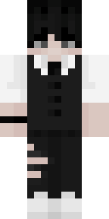 Передняя часть скина игрока Metelicza