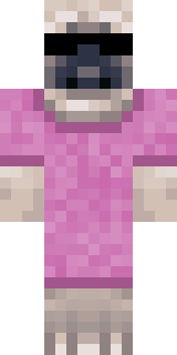 Передняя часть скина игрока Mopsus