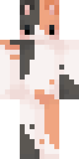 Передняя часть скина игрока MrBePcTaK