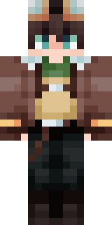 Передняя часть скина игрока MrFriGeR