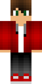 Передняя часть скина игрока MrOgnin