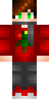 Передняя часть скина игрока MrSal_Kin