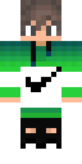 Передняя часть скина игрока Mr_Mew