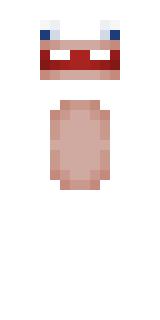 Передняя часть скина игрока NameLessER